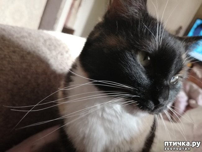 ���� 14: ������� ���������.