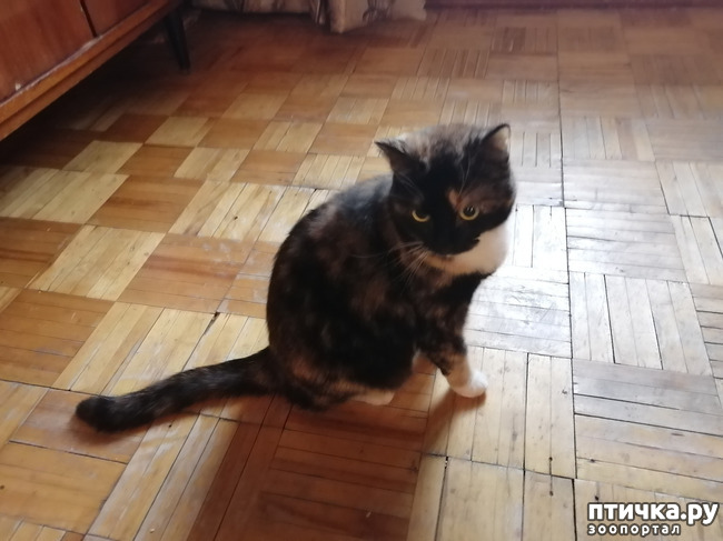 ���� 15: ������� ���������.