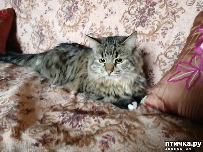 ���� 16: ������� ���������.