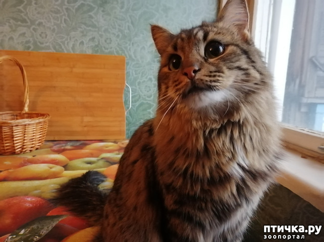 ���� 17: ������� ���������.