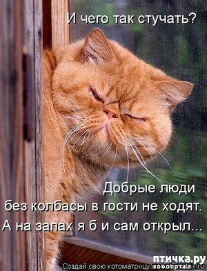 ����: ������� ���������� �����