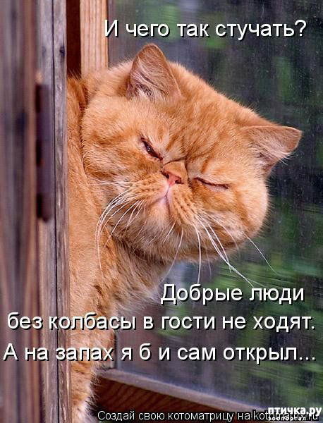 ���� 1: ������� ���������� �����