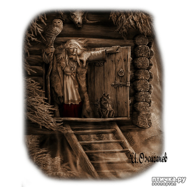 ���� 8: �����