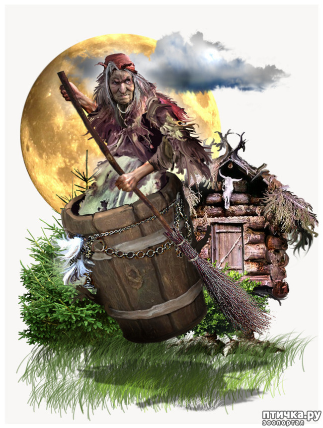 ���� 7: �����