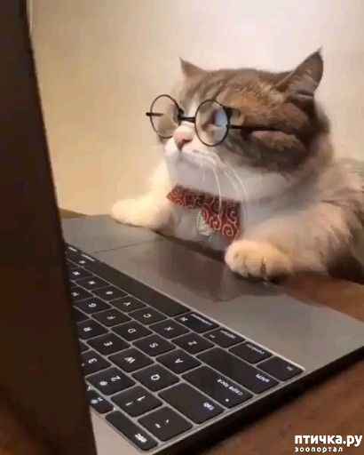 ���� 7: ������� ���������� �����