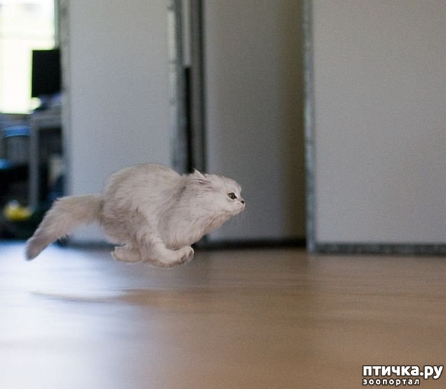 ���� 8: ������� ���������� �����