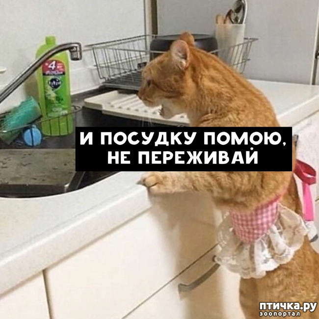 ���� 9: ������� ���������� �����