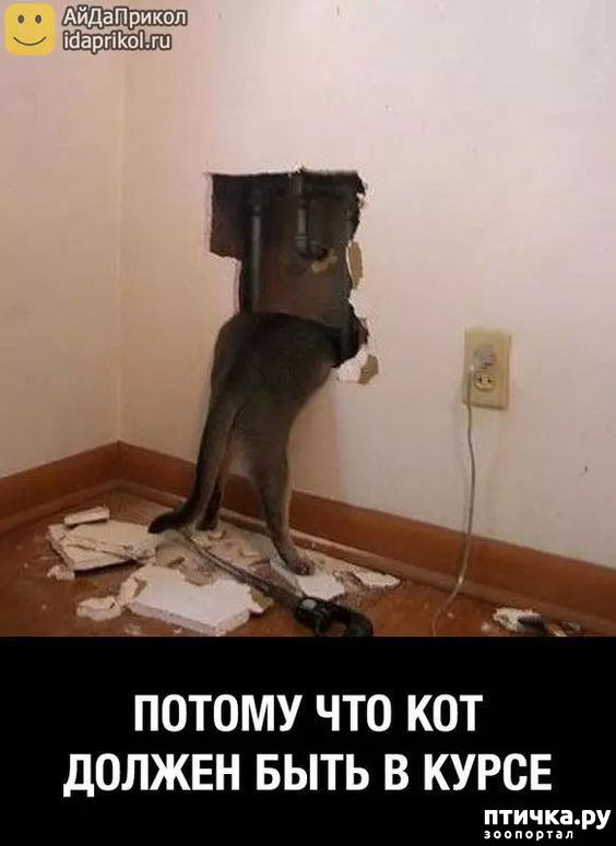 ���� 10: ������� ���������� �����