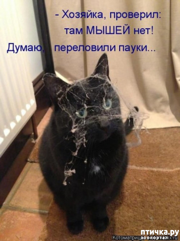 ���� 11: ������� ���������� �����