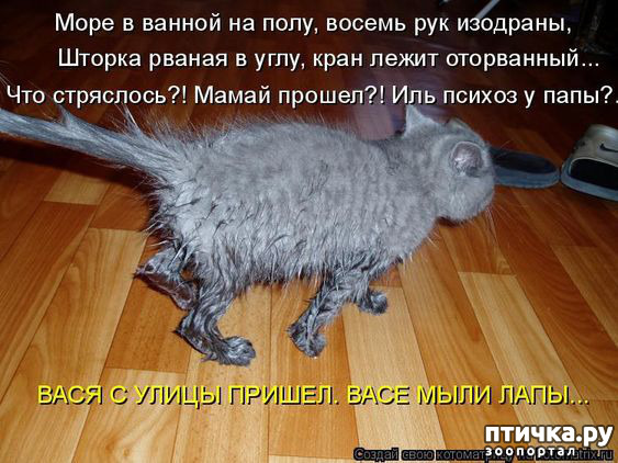 ���� 12: ������� ���������� �����