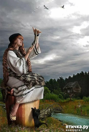 ����: �����