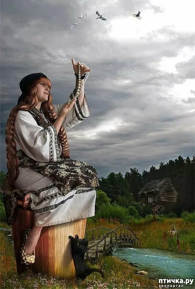 ���� 1: �����