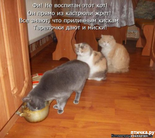 ���� 13: ������� ���������� �����