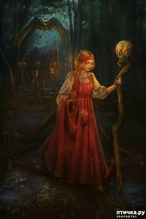 ���� 2: �����