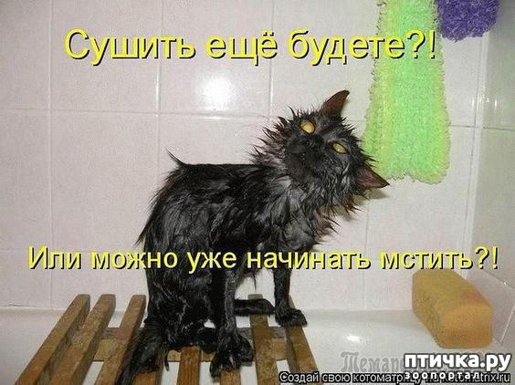 ���� 15: ������� ���������� �����