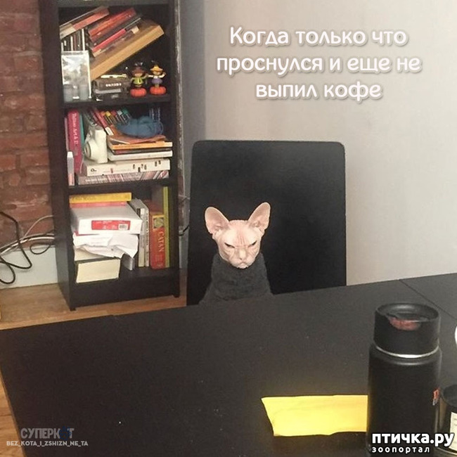 ���� 16: ������� ���������� �����