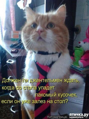 ���� 17: ������� ���������� �����