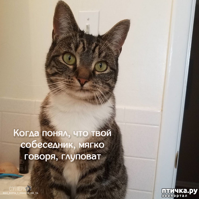 ���� 18: ������� ���������� �����