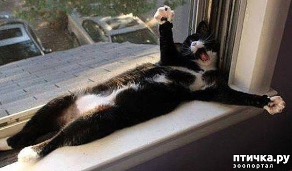 ���� 19: ������� ���������� �����