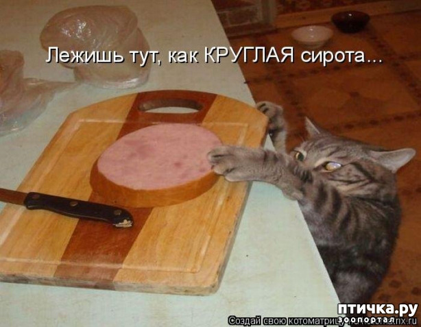 ���� 2: ������� ���������� �����