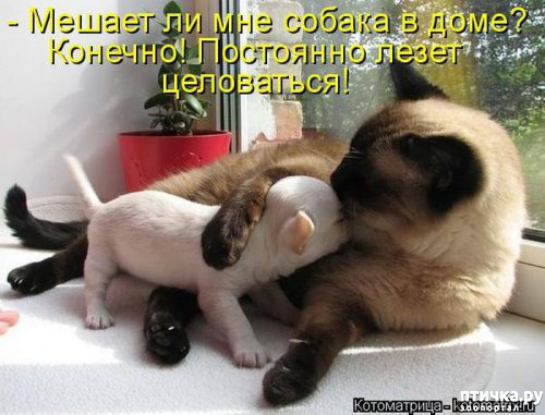 ���� 3: ������� ���������� �����