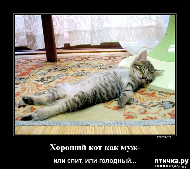 ���� 4: ������� ���������� �����