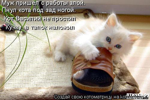 ���� 5: ������� ���������� �����