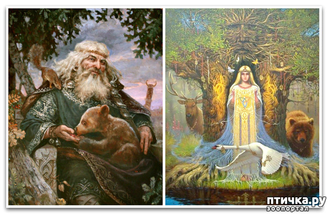 ���� 3: �����