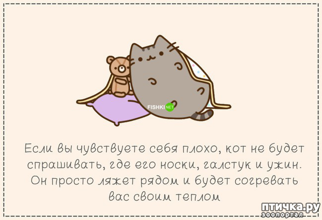 ���� 6: ������� ���������� �����