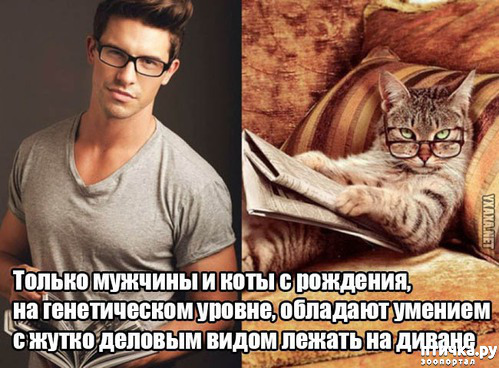 ���� 20: ������� ���������� �����