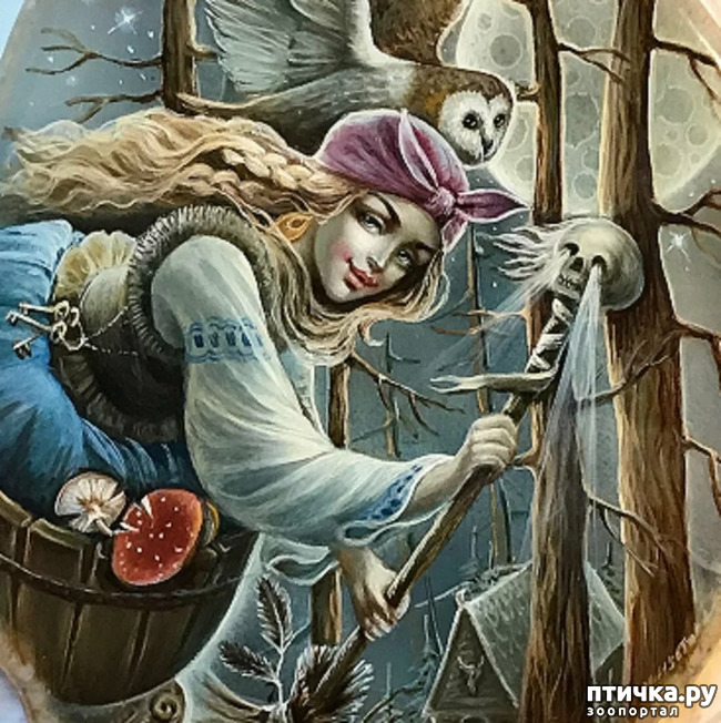 ���� 4: �����