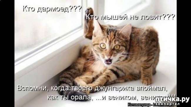 ���� 21: ������� ���������� �����