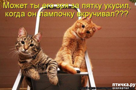 ���� 22: ������� ���������� �����