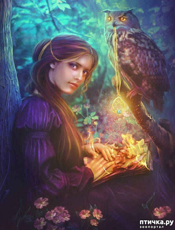 ���� 5: �����