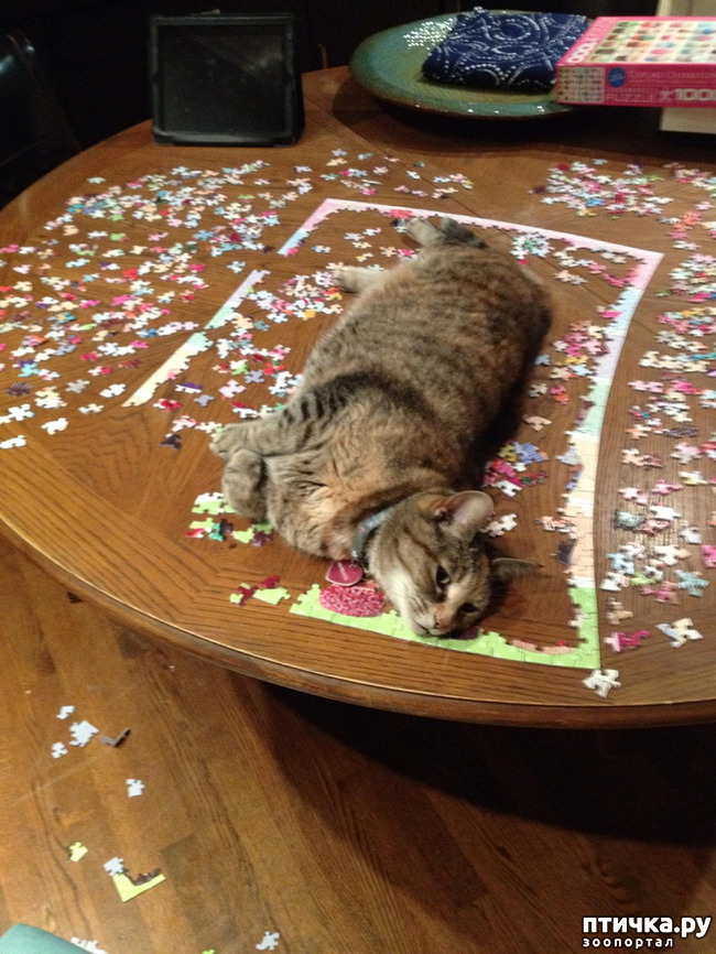 ���� 24: ������� ���������� �����