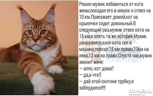 ���� 26: ������� ���������� �����