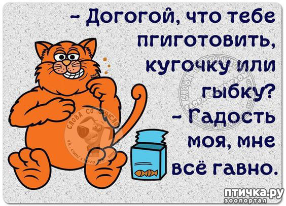 ���� 28: ������� ���������� �����