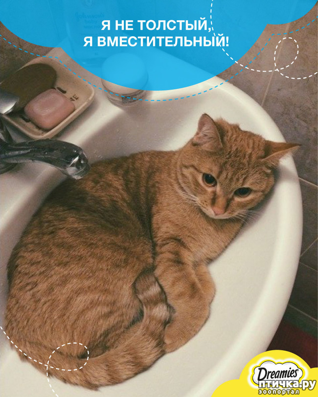 ���� 29: ������� ���������� �����