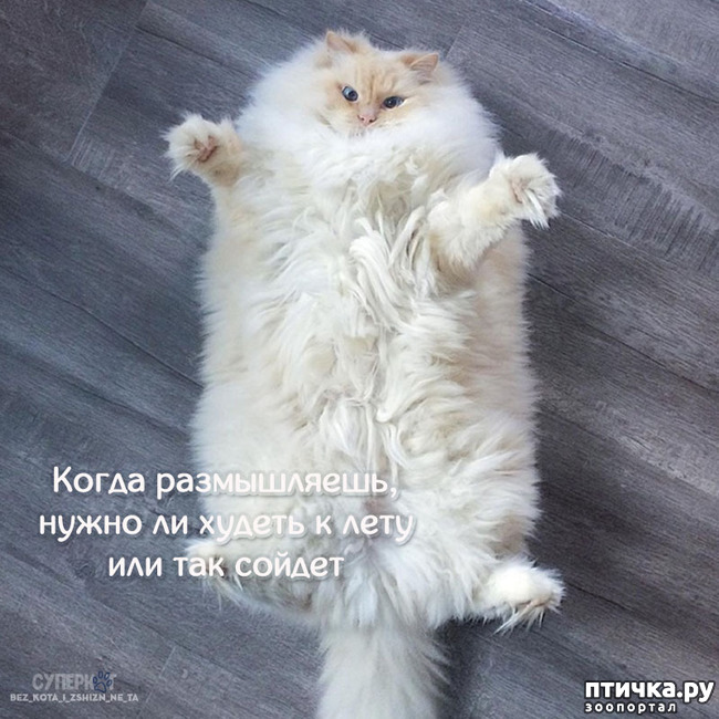 ���� 30: ������� ���������� �����