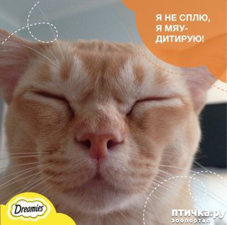 ���� 31: ������� ���������� �����