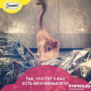 ���� 32: ������� ���������� �����