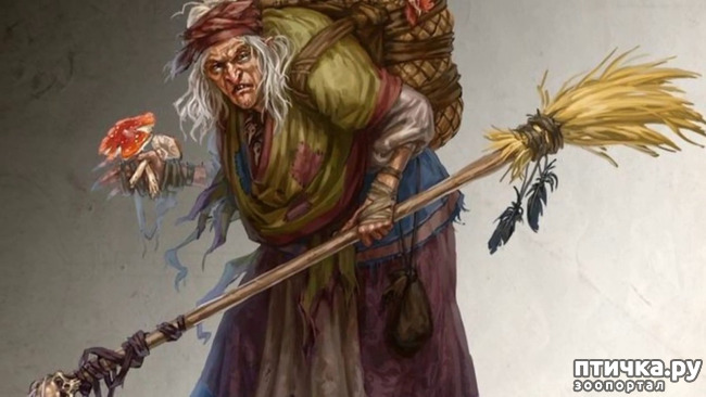 ���� 6: �����