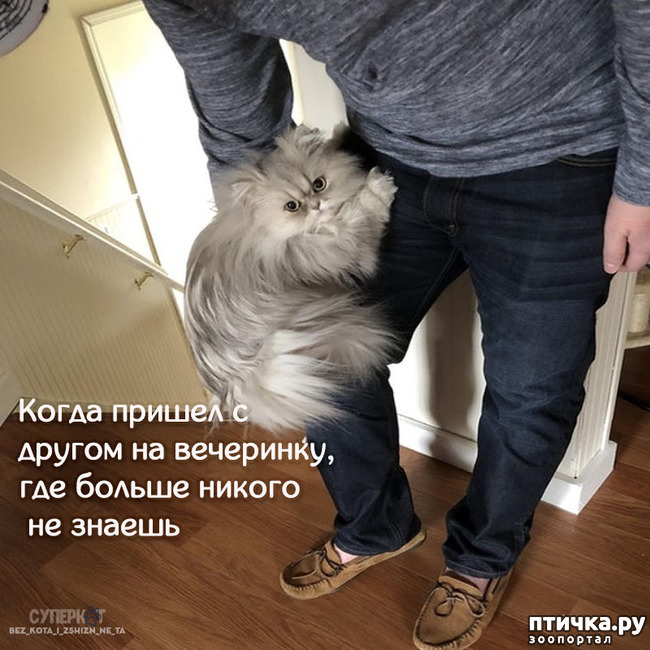 ���� 33: ������� ���������� �����