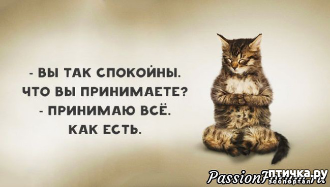 ���� 35: ������� ���������� �����