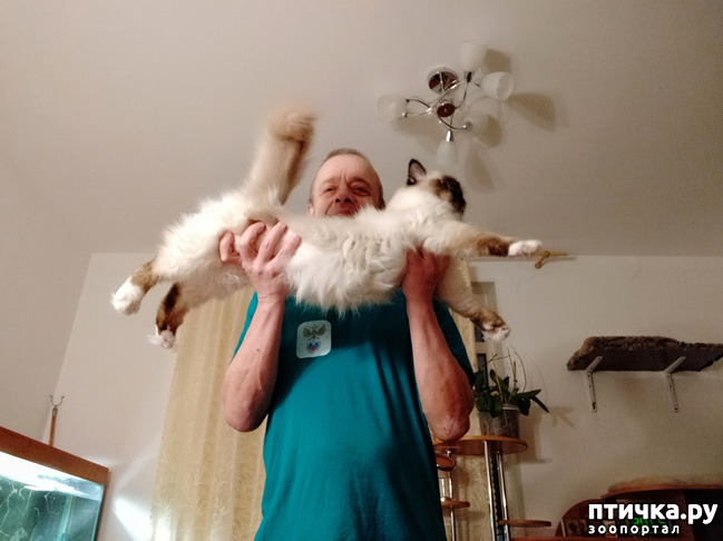 ���� 2: ���� ��� �������, �����