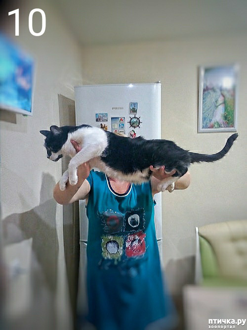 ���� 3: ���� ��� �������, �����