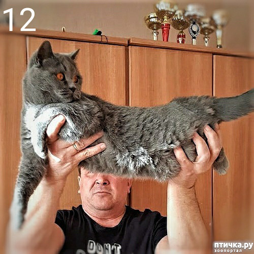 ���� 4: ���� ��� �������, �����