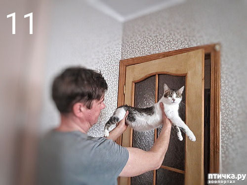 ���� 5: ���� ��� �������, �����