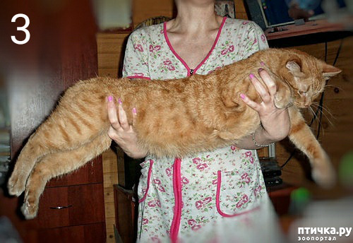 ���� 6: ���� ��� �������, �����