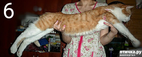 ���� 7: ���� ��� �������, �����